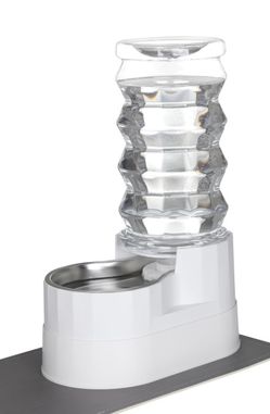 automatic pet water dispenser