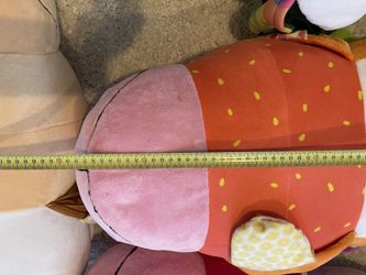 FlipaZoo Animal stuff 