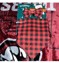 Dog Bandana Set