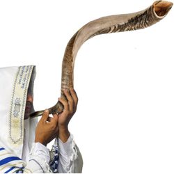 Kosher Jewish Shofar - Authentic Kudu Horn Instrument from Israel, Shofar Horn Instrument for Spiritual Harmony – Half Polished/Natural (Single, 32"-3