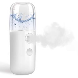 Mini facial steamer