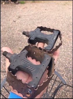 GT Cage Pedals 1/2