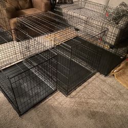 Dog Cages