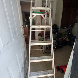 6' Gorilla Ladder