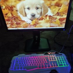 Entry Level Custom Gaming Desktop With Monitor