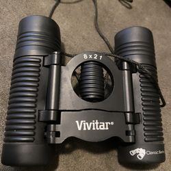Vivitar Series 8x21 Point of View Portable Lightweight Binoculars With Case