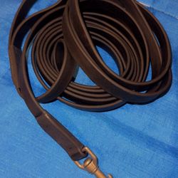 Dog Leash 