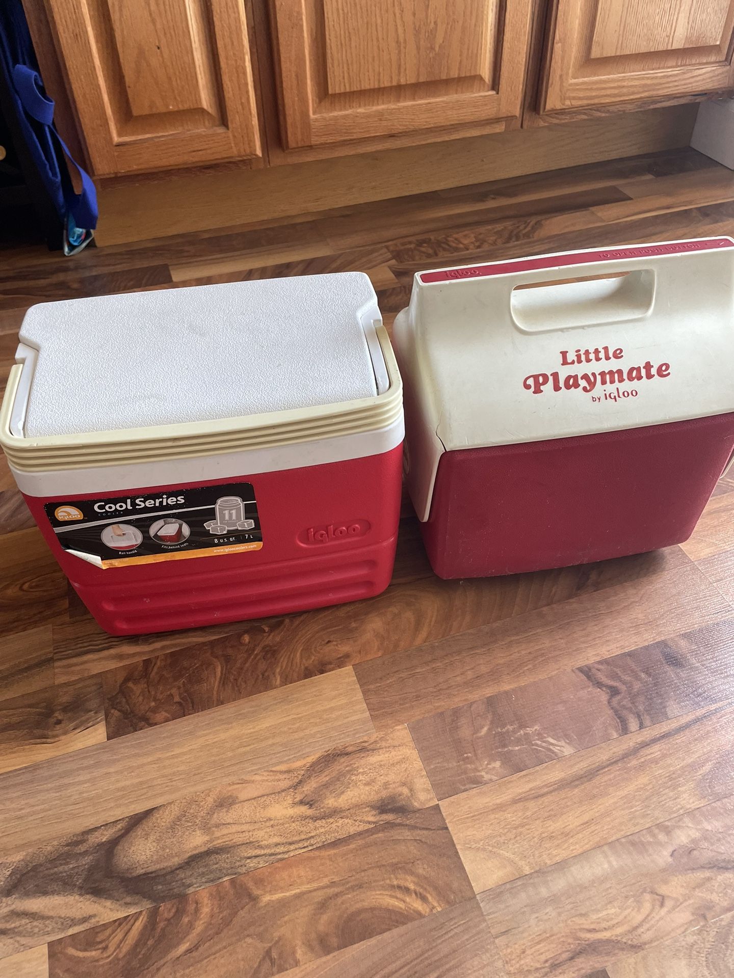 Small Igloo Coolers