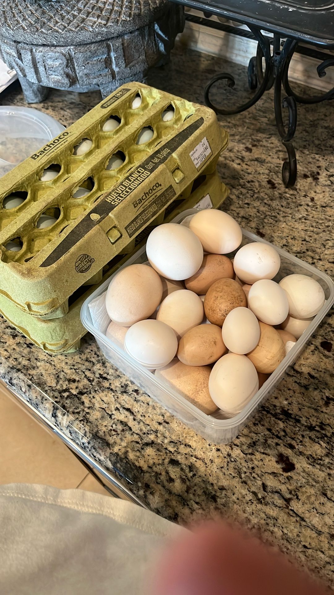 Chickens Also Fertile Farm Race Free Room