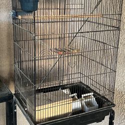 Bird Cage 