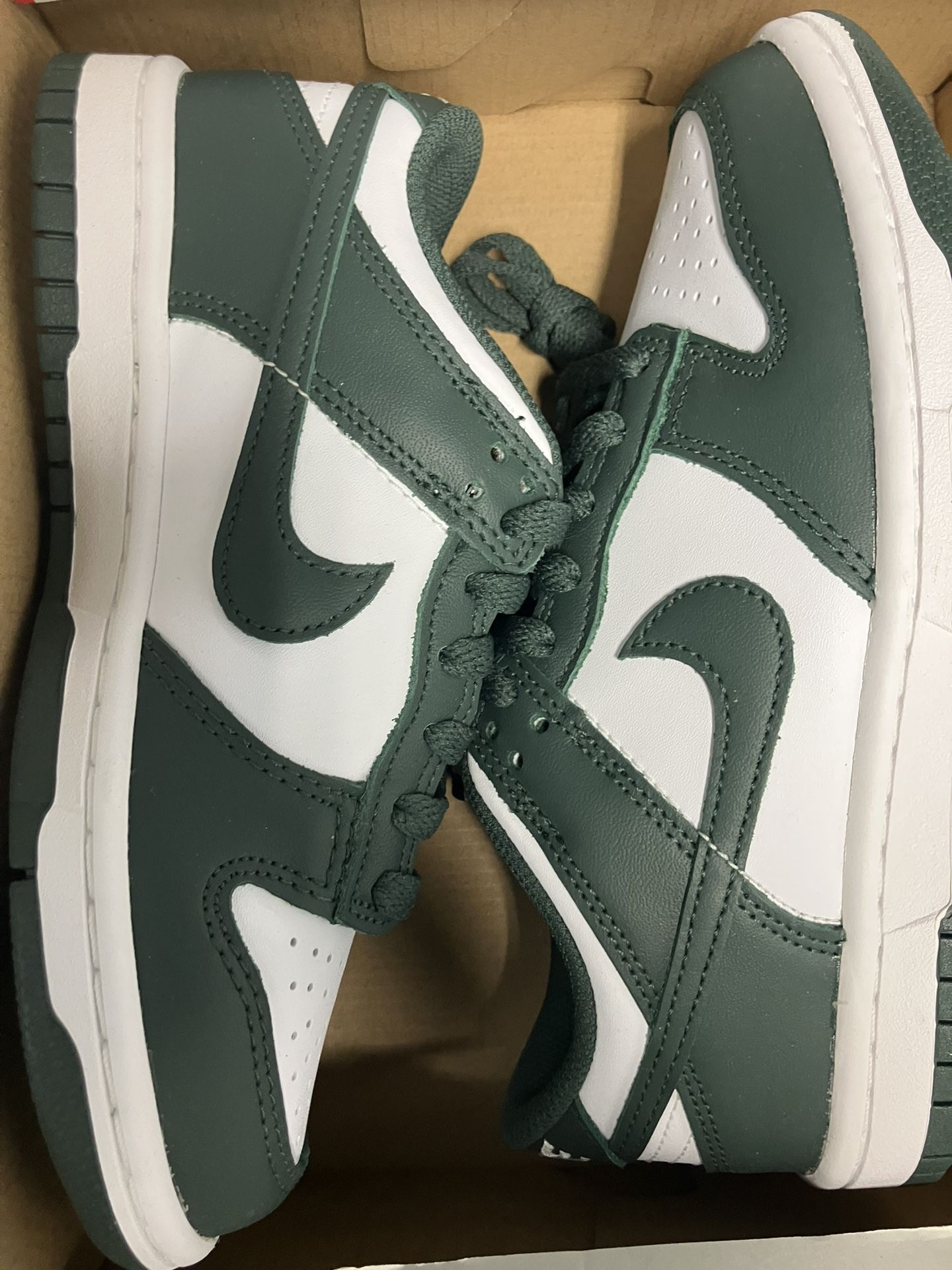 Kids Nike Dunks Low