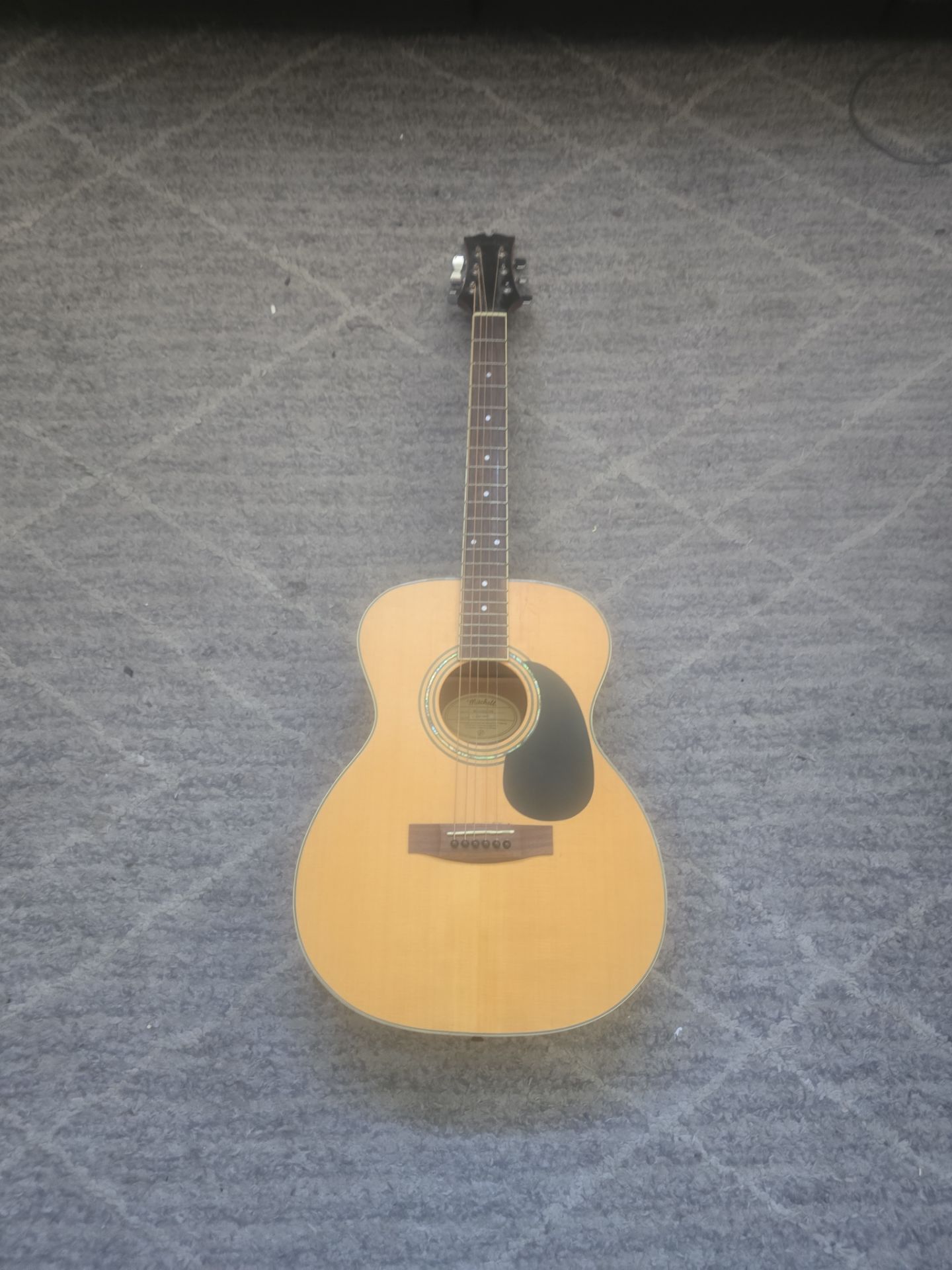 Mitchell Guitar