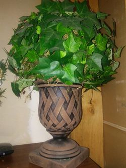 Decor