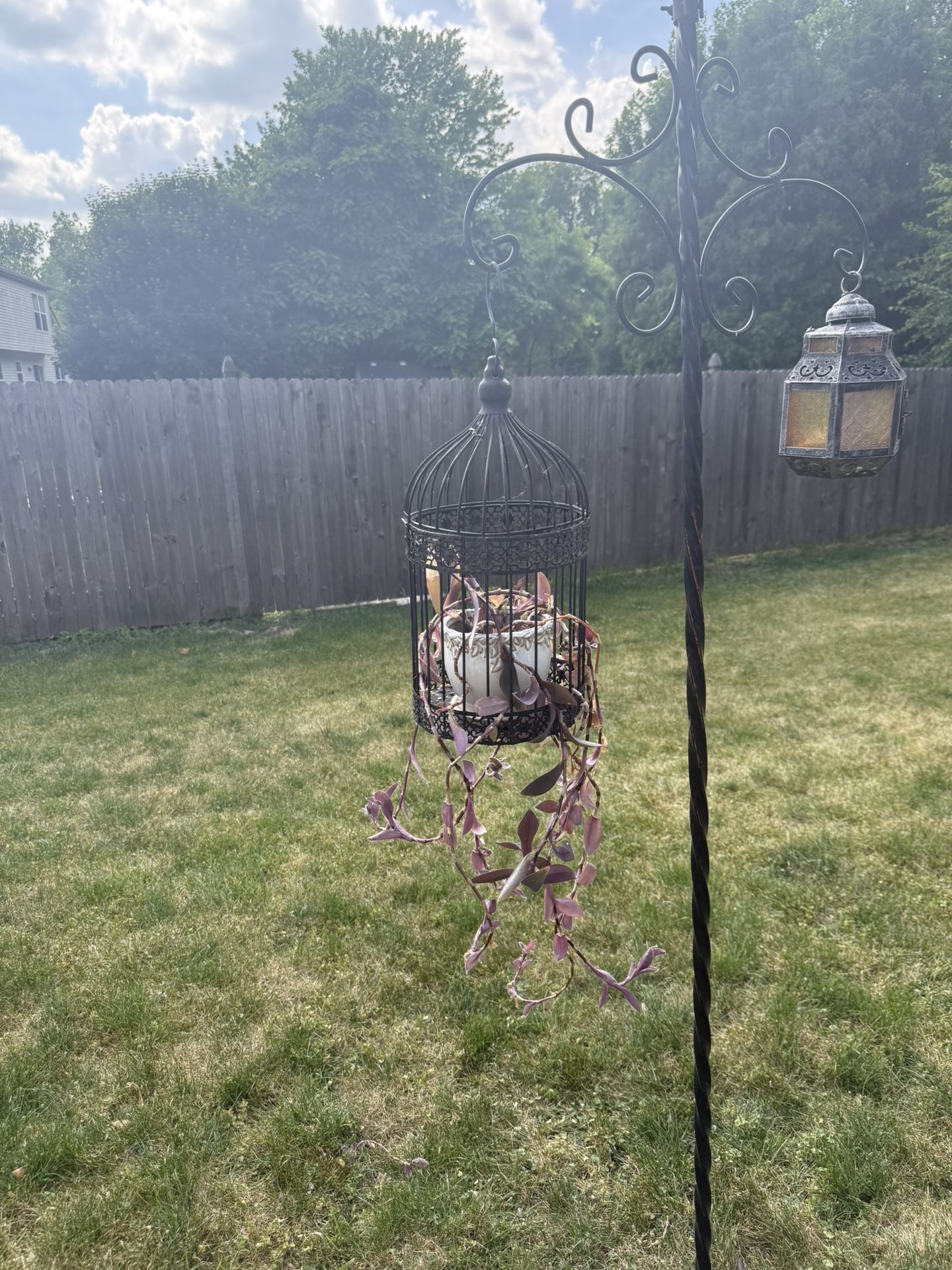 Decorative Bird Cage