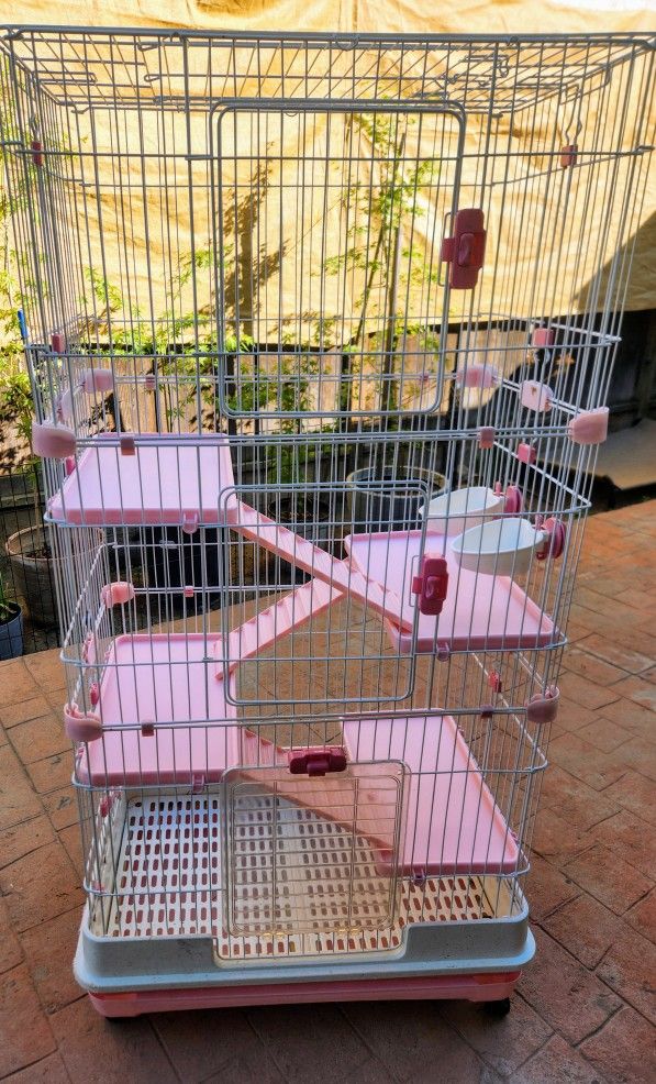 Bunny Cage