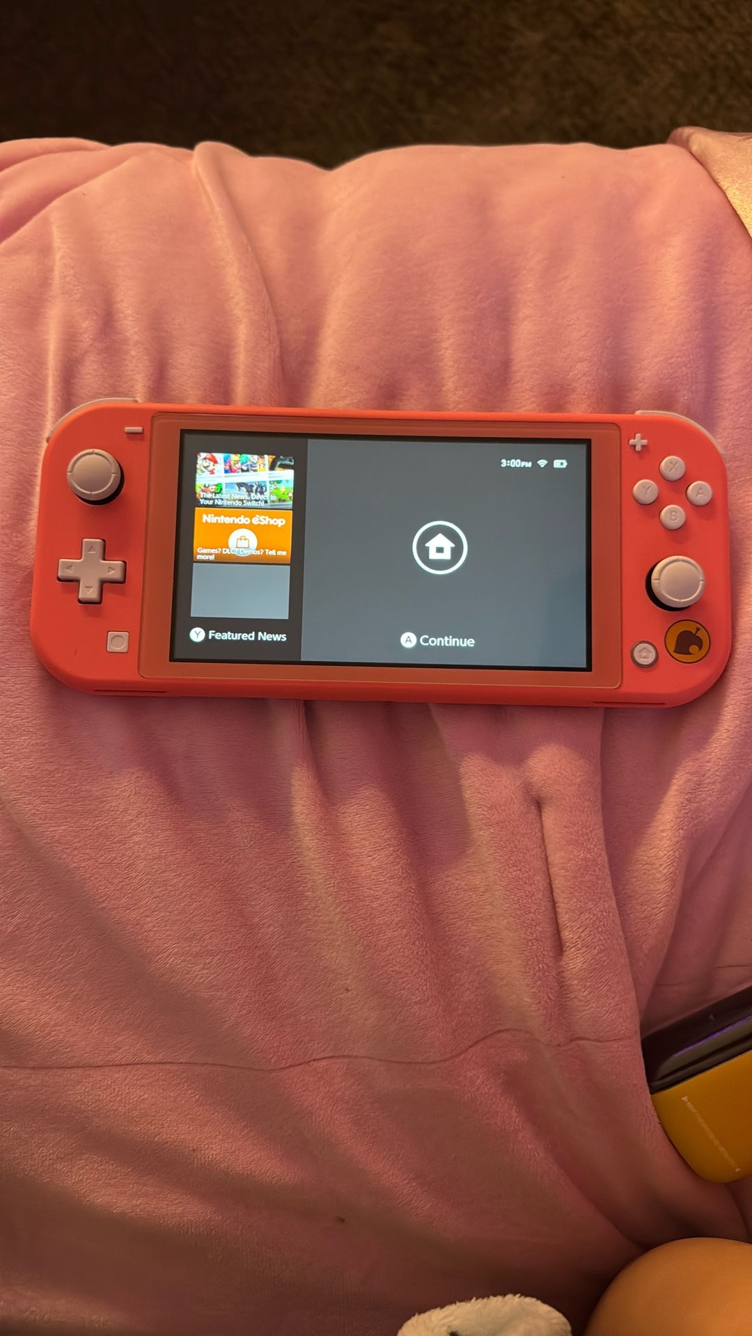Nintendo Switch Lite