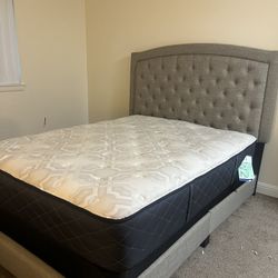 Bedroom Set Mattress, Bed Frame, And Box Spring 