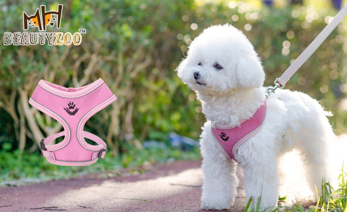 Small Dog Harness and Leash Set M Pink