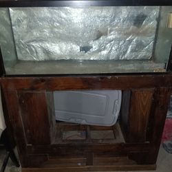 55 Gallon Fish Tank 