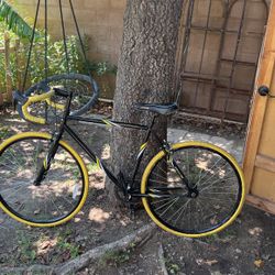 Fixed Gear Bike, Bycicle 