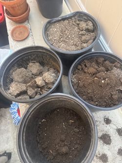 Free potting mix / soil