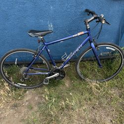 Trek Bike