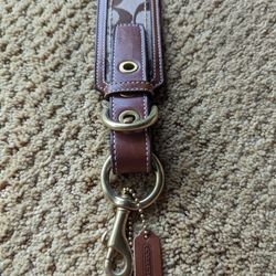 Coach Signature Belt
