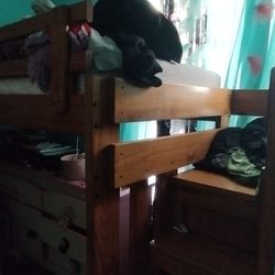 wooden bunk bed/loft