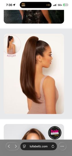 Clip In Extensions Pre Styled Set Of 2 (Braid And Ponytail)