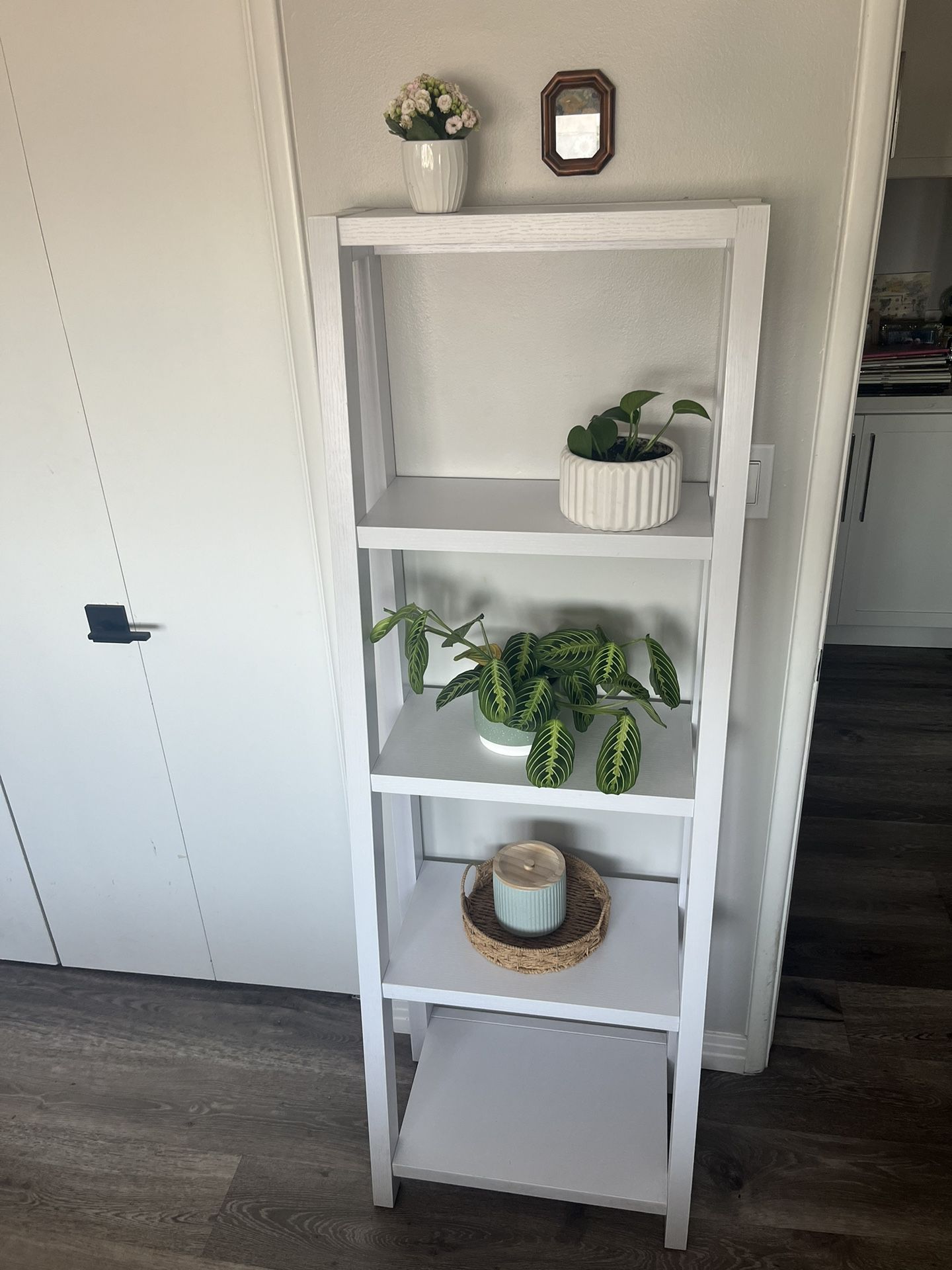 Book / Plant Shelf
