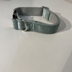 Medium Dog Collar 