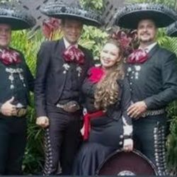 Violin Mariachi