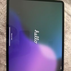 iPad Pro 13 In. M4 (Cellular + Wifi)  256 Gb