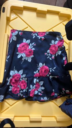 Skirt