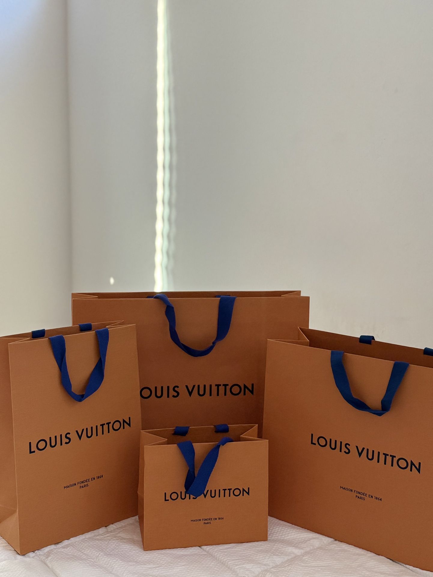 Louis Vuitton Shopping Bags (only)