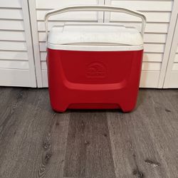 Igloo Cooler 