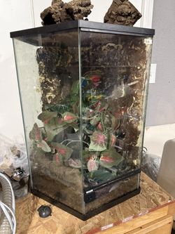 Bioactive Vertical Terrarium