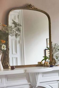 Anthropologie Gleaming Primrose 3' Wall Mirror