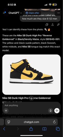 Nike SB dunk high pro