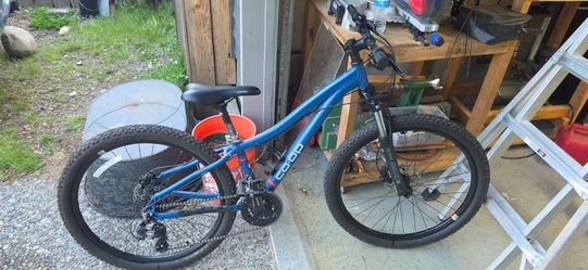Kids mountain bike REI CO-OP DTR 1.0 xxs frame