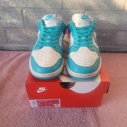 Nike Dunks $35