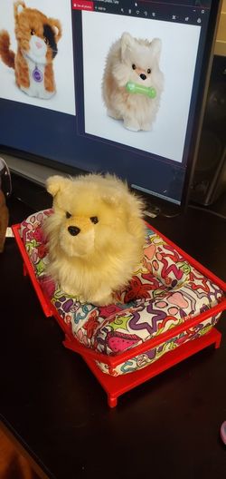 American girl pomeranian cheap