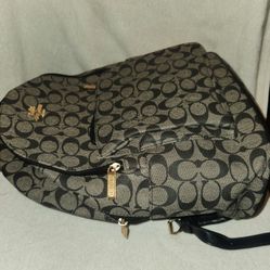 Coach Backpack 