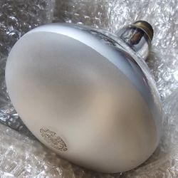 300 watt Pool Light Bulb