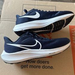 Nike Zoom Pegasus