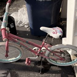 Seastar 20 Inch Wheel Pink Girls  Bike