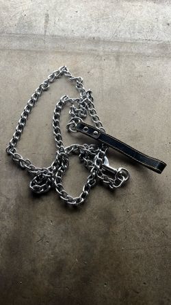Dog Leash