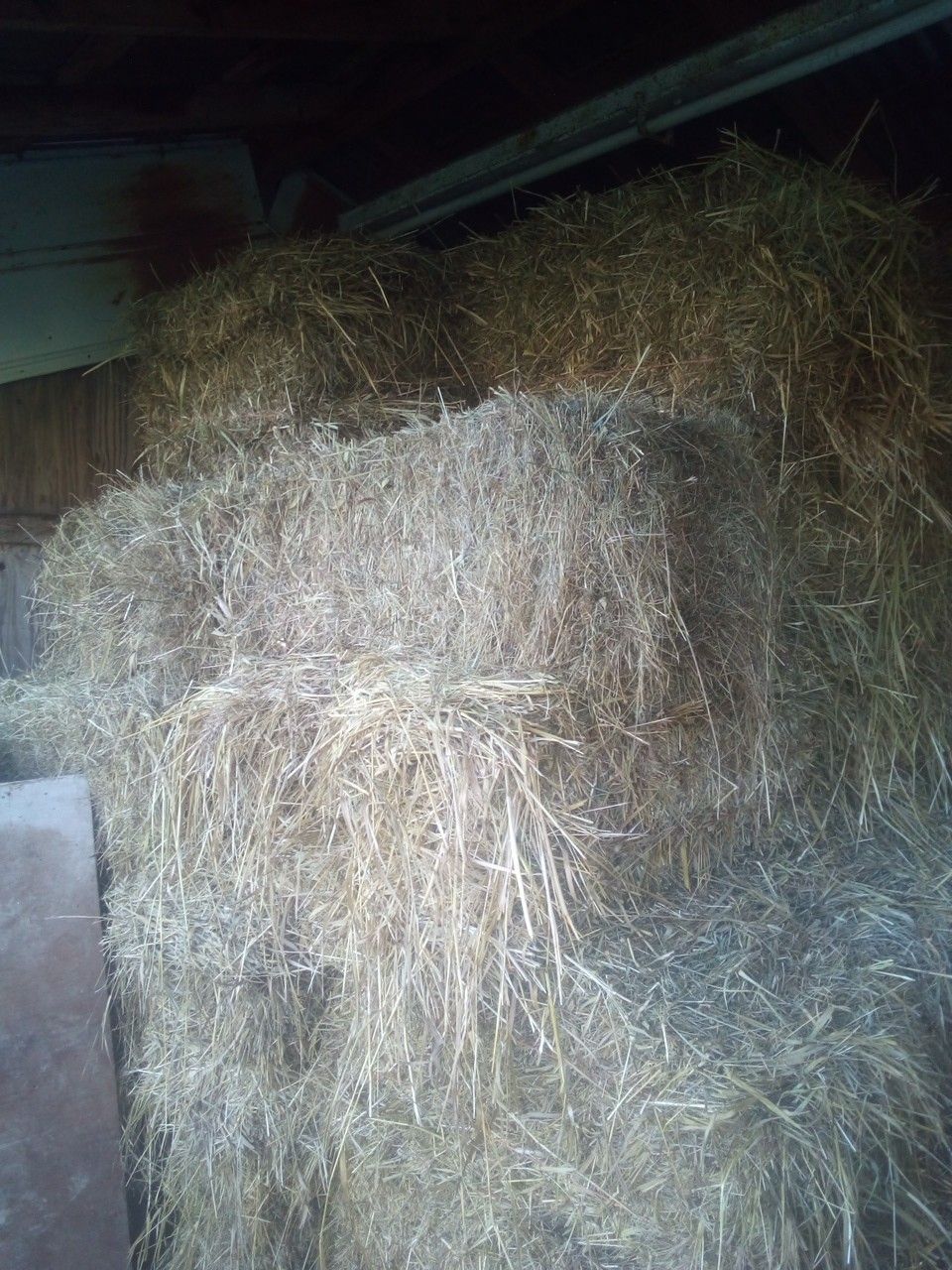 Locally grown fresh hay