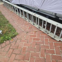 Ladder  100 Or Best Offer