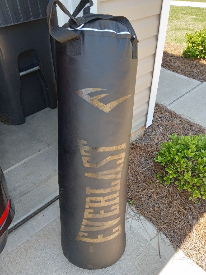 Everlast Punching Bag